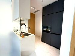 Cairnhill 16 (D9), Apartment #536932031